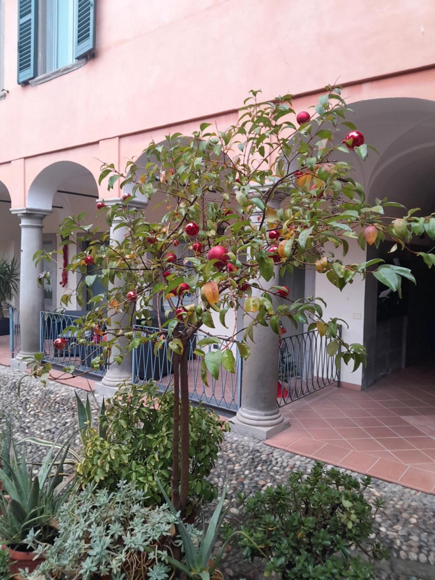 La Corte Dei Cappuccini แบร์กาโม ภายนอก รูปภาพ